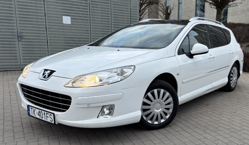 
								Peugeot 407 SW SPORT 2010 full									