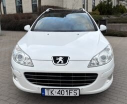 
										Peugeot 407 SW SPORT 2010 full									
