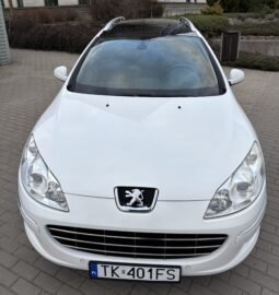 
										Peugeot 407 SW SPORT 2010 full									
