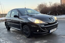 
										Peugeot 206 Basis 2010 full									
