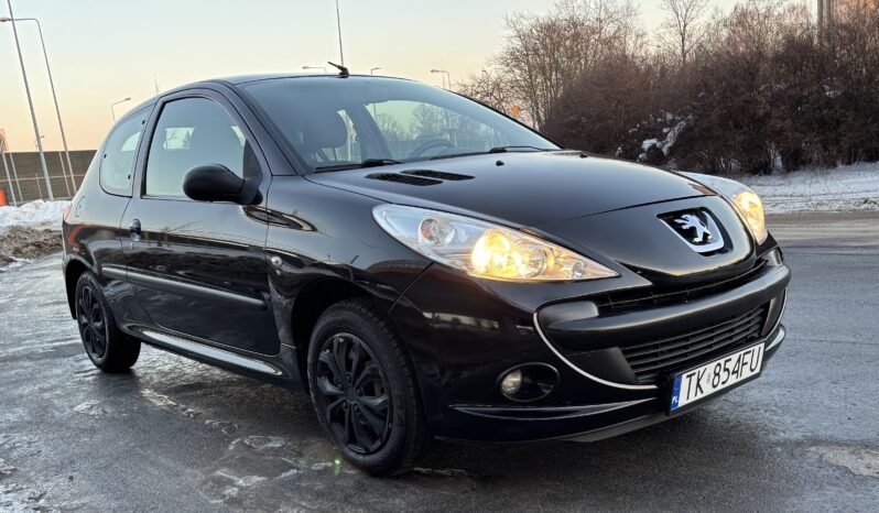 
								Peugeot 206 Basis 2010 full									