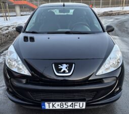 
										Peugeot 206 Basis 2010 full									