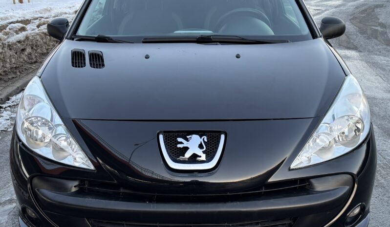 
								Peugeot 206 Basis 2010 full									