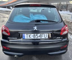 
										Peugeot 206 Basis 2010 full									