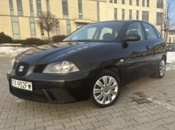 Seat IBIZA 2009