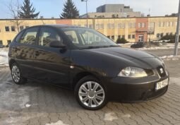 Seat IBIZA 2009