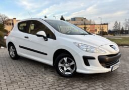 Peugeot 308 Filou 2010