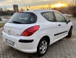 Peugeot 308 Filou 2010