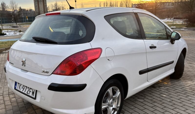 
								Peugeot 308 Filou 2010 full									