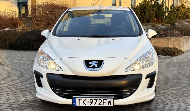 
								Peugeot 308 Filou 2010 full									