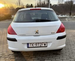 
										Peugeot 308 Filou 2010 full									