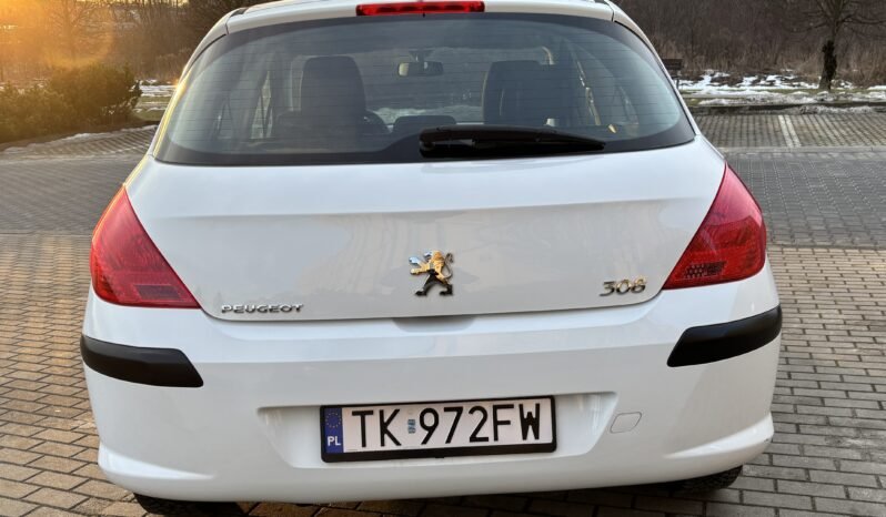 
								Peugeot 308 Filou 2010 full									