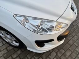 
										Peugeot 308 Filou 2010 full									