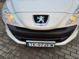 
										Peugeot 308 Filou 2010 full									