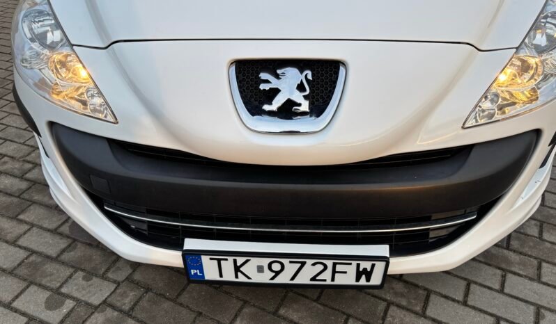 
								Peugeot 308 Filou 2010 full									